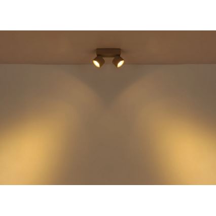 Globo - LED-spot 2xLED/6W/230V