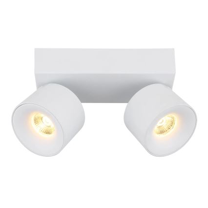 Globo - Spot 2xLED/6W/230V blanc