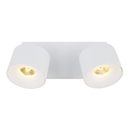 Globo - Spot 2xLED/6W/230V blanc