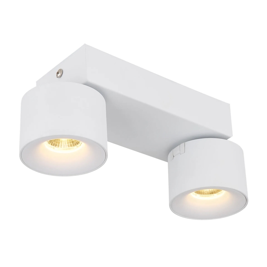 Globo - Spot 2xLED/6W/230V blanc