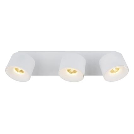 Globo - LED spot 3xLED/6W/230V wit