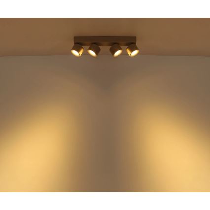 Globo - LED-spot 4xLED/6W/230V