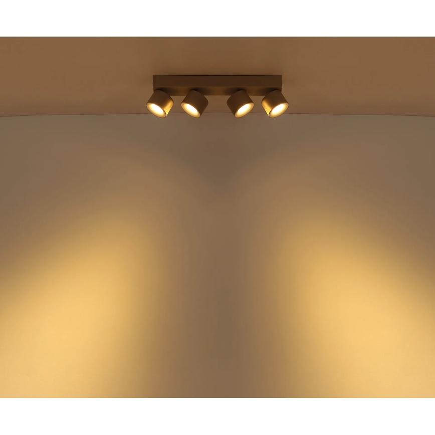 Globo - LED-spot 4xLED/6W/230V