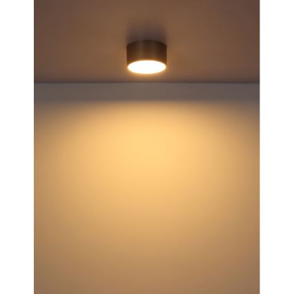 Globo - LED plafondlamp LED/12W/230V Ø 15 cm 3000K beige