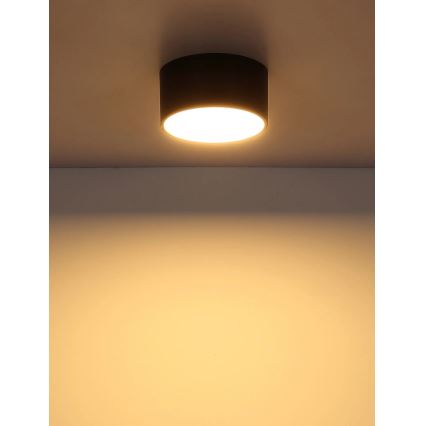 Globo - LED plafondlamp LED/12W/230V 3000K diam. 15 cm zwart