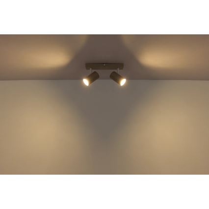 Globo - Plafondspot 2xGU10/35W/230V
