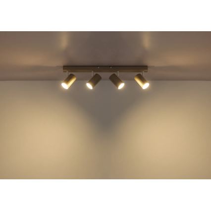 Globo - Spotlamp 4xGU10/35W/230V