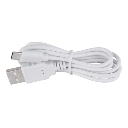 Globo - Lampe de table tactile LED dimmable LED/1W/3,7V 3000K 1800 mAh USB rose