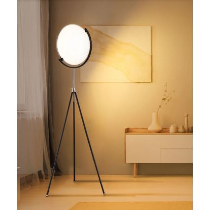 Globo - dimbare LED-vloerlamp LED/24W/230V 2700/4000/6500K