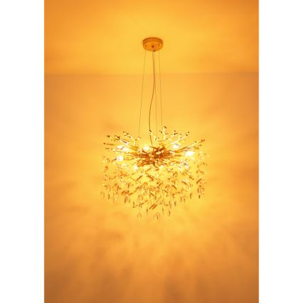 Globo - Kroonluchter met kabel 8xE14/40W/230V goud