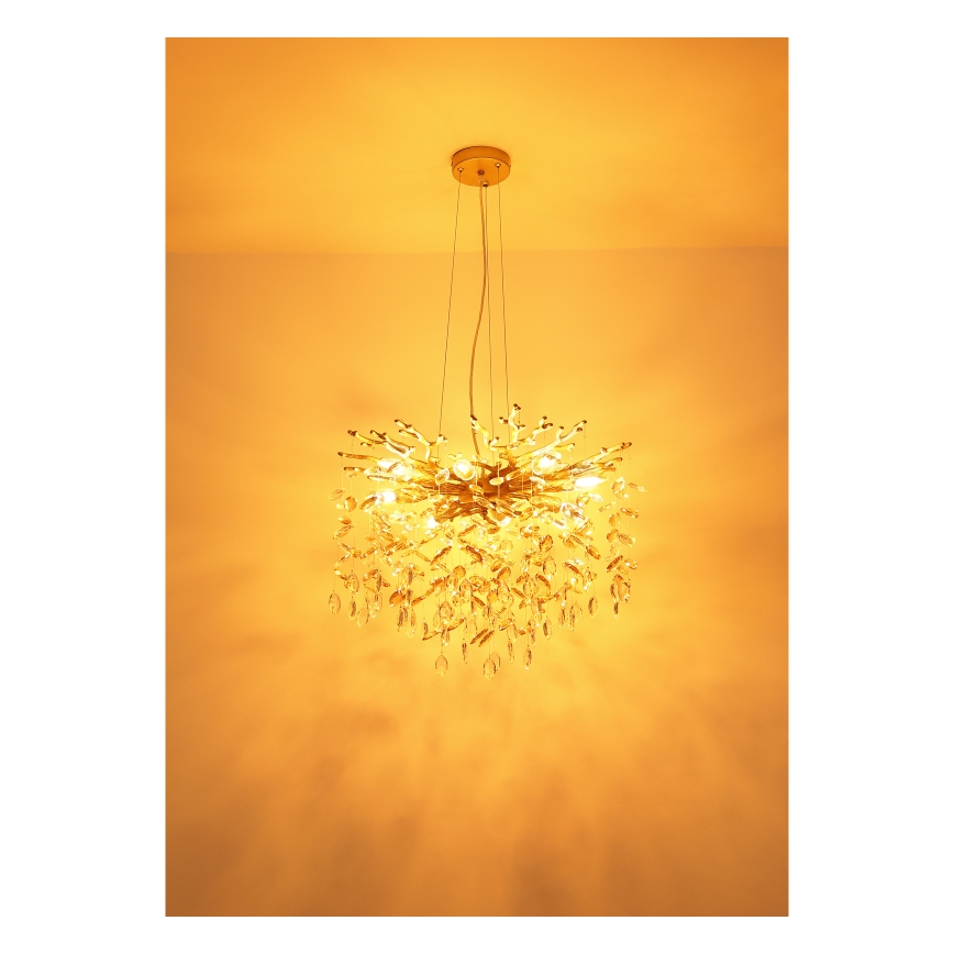 Globo - Kroonluchter met kabel 8xE14/40W/230V goud