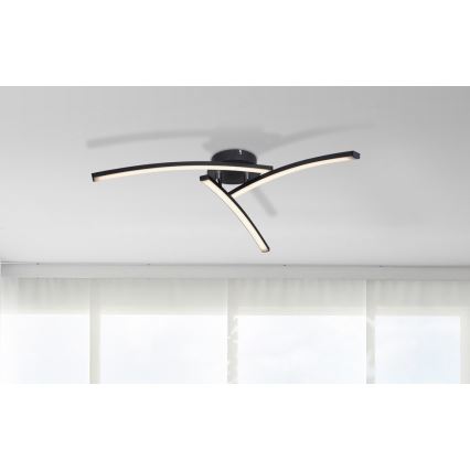 Globo - LED Bevestigde Hanglamp 3xLED/6W/230V 3000/4000/6000K