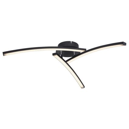 Globo - Plafonnier 3xLED/6W/230V 3000/4000/6000K