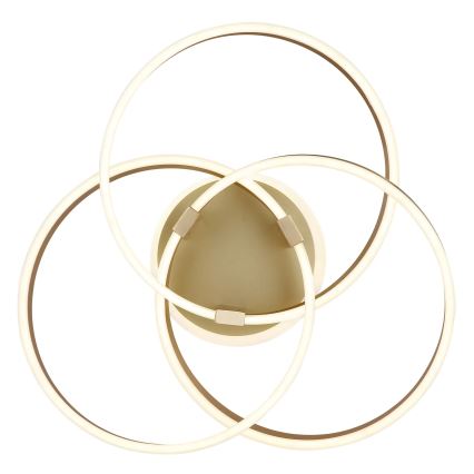 Globo - Plafonnier LED dimmable LED/56W/230V 2700-6000K 57,5x60 cm doré + télécommande