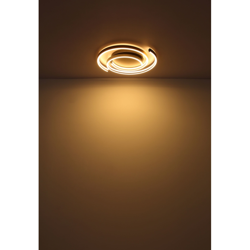 Globo - Plafonnier LED/38W/230V