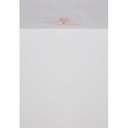 Globo - LED Bevestigde Hanglamp LED/12W/230V 3000K oranje