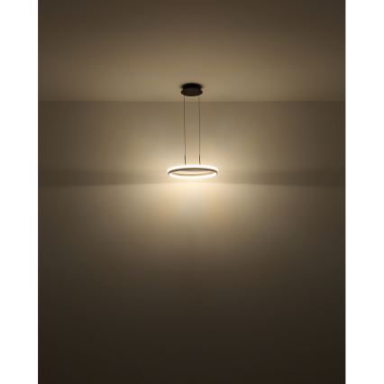 Globo - LED Hanglamp aan een koord LED/40W/230V 3000/4000/6000K diameter 39,7 cm bruin