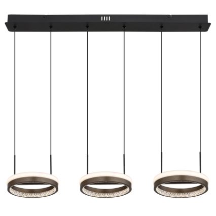 Globo - Suspension filaire LED/40W/230V 3000/4000/6000K marron