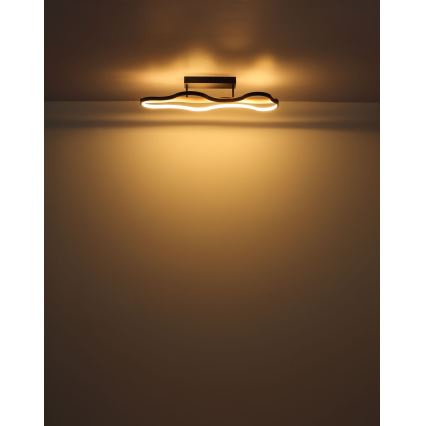 Globo - LED Bevestigde Hanglamp LED/30W/230V