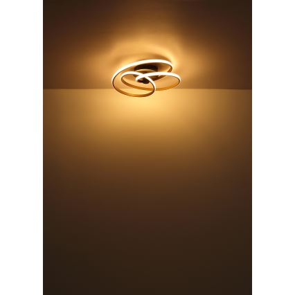 Globo - LED Bevestigde Hanglamp LED/40W/230V 3000K goud/zwart