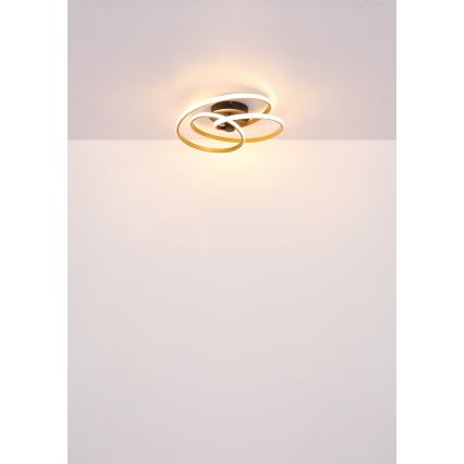 Globo - LED Bevestigde Hanglamp LED/40W/230V 3000K goud/zwart