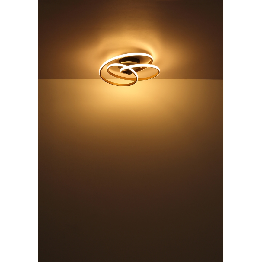 Globo - LED Bevestigde Hanglamp LED/40W/230V 3000K mat chroom/zwart