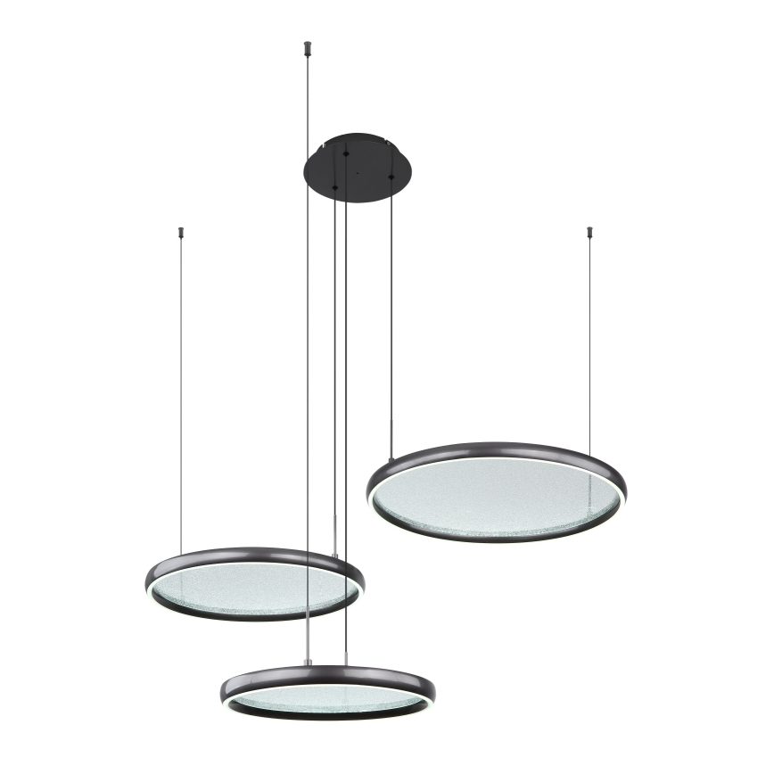 Globo - Dimbare LED hanglamp aan een koord LED/55W/230V 2700-6000K zwart + afstandsbediening