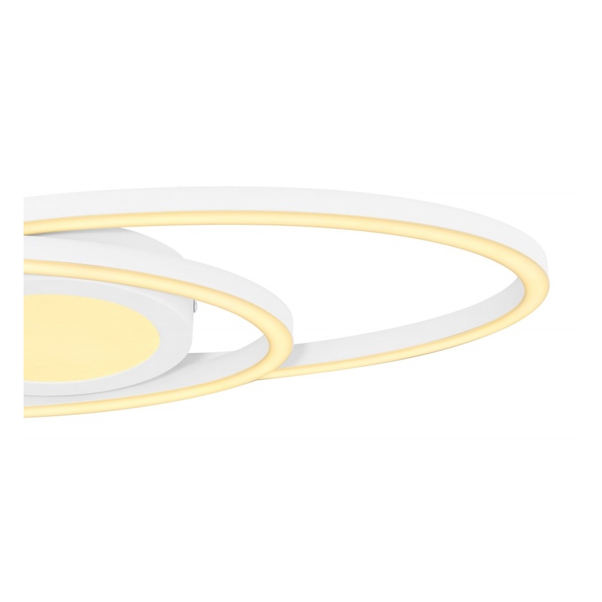 Globo - LED Plafond Lamp LED/24W/230V