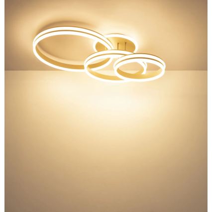 Globo - Plafonnier LED dimmable LED/72W/230V 3000K 79,5x50 cm