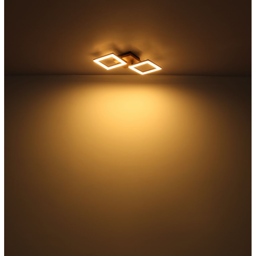 Globo - Lustre monté en surface LED/30W/230V