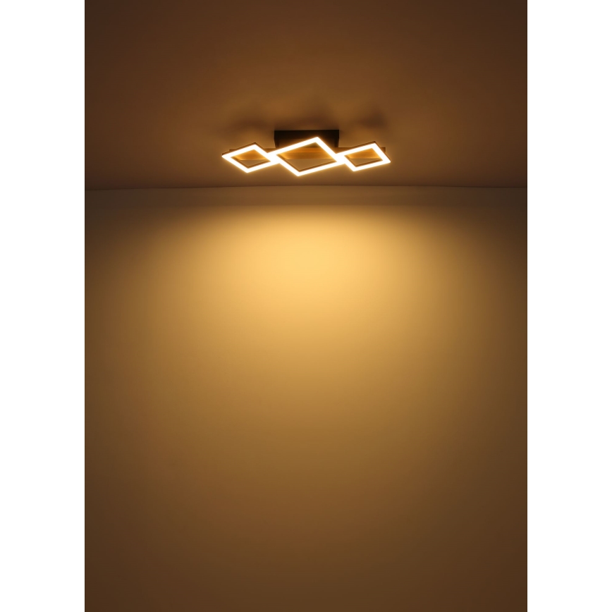 Globo - LED Plafondlamp LED/29W/230V