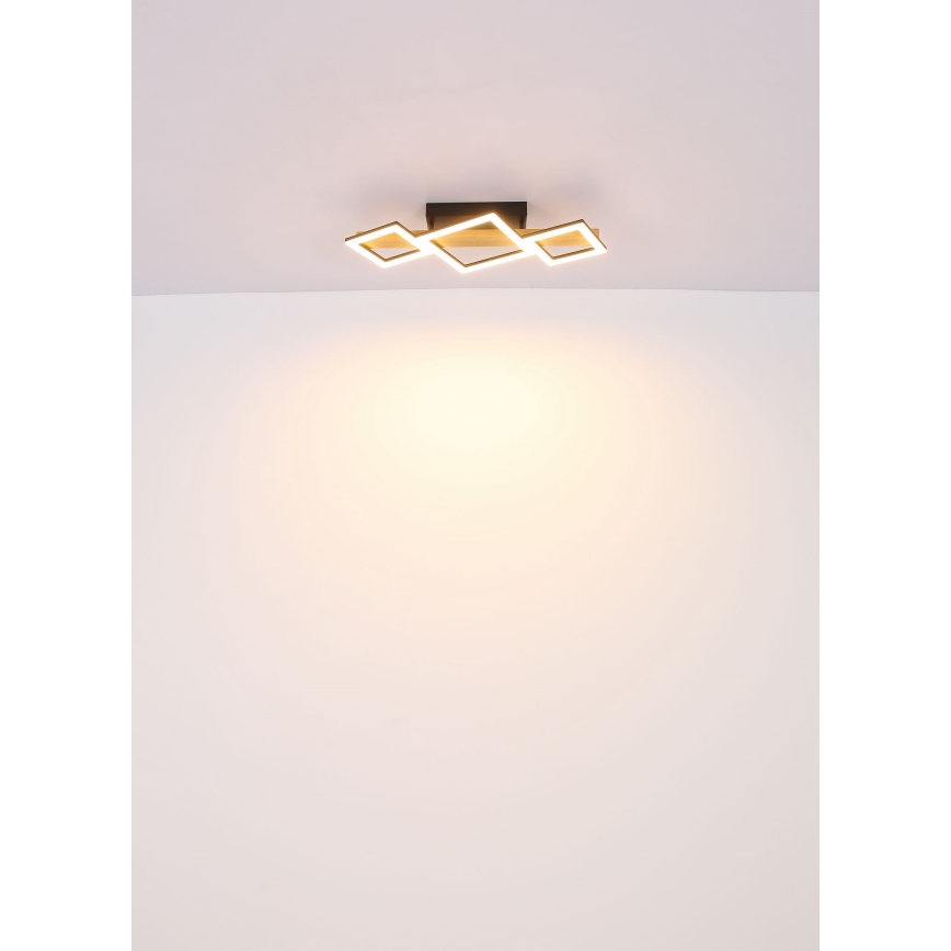 Globo - LED Plafondlamp LED/29W/230V