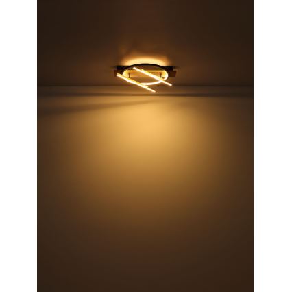 Globo - Plafonnier LED/32W/230V