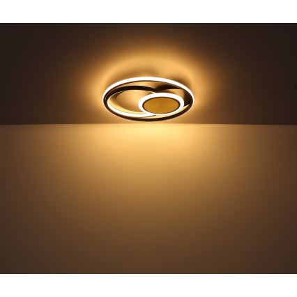 Globo - Plafonnier LED/24W/230V