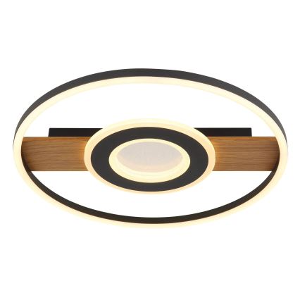 Globo - Plafonnier LED/24W/230V