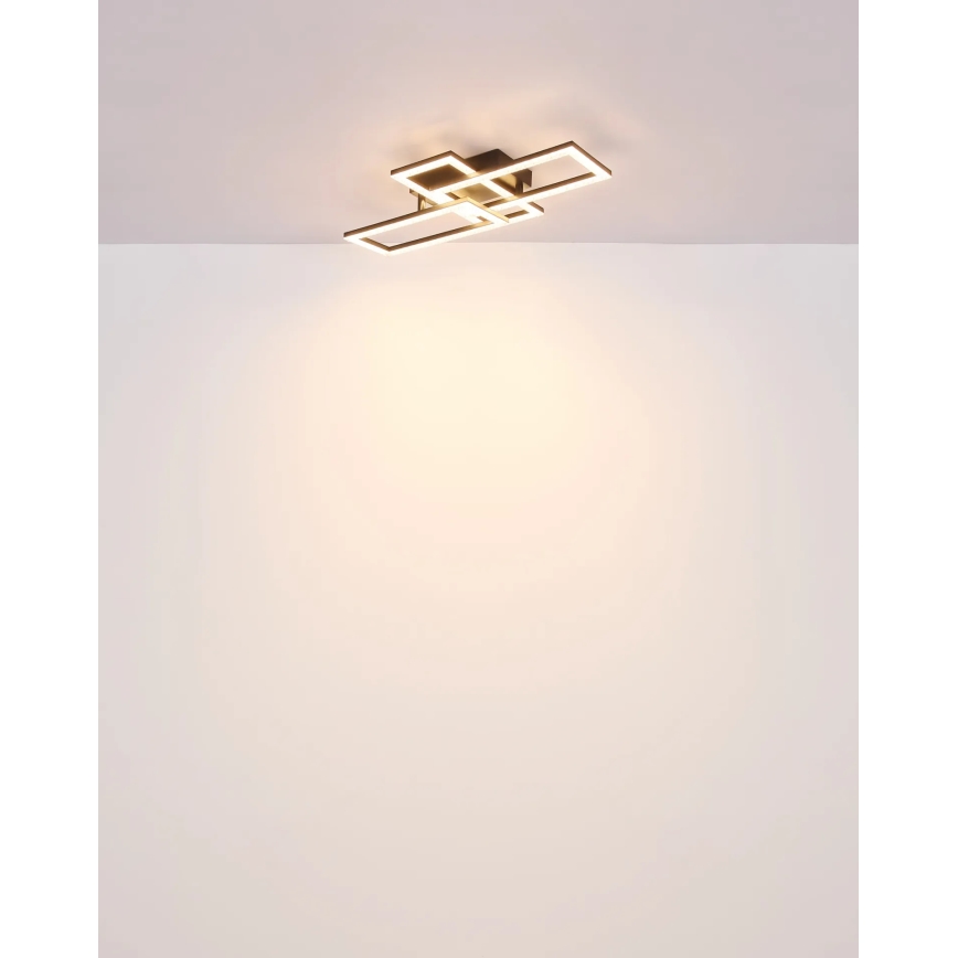 Globo - Plafonnier LED/24W/230V