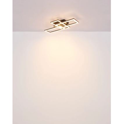 Globo - Plafonnier LED/24W/230V