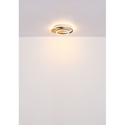Globo - LED Plafondlamp LED/24W/230V zwart