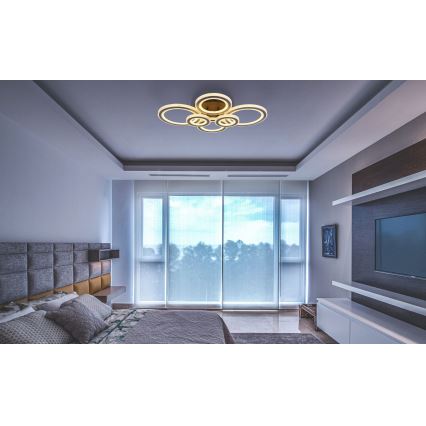 Globo - Plafonnier LED dimmable LED/60W/230V 2700-6000K 56x78 cm anthracite + télécommande