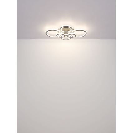 Globo - Plafonnier LED dimmable LED/60W/230V 2700-6000K 56x78 cm anthracite + télécommande