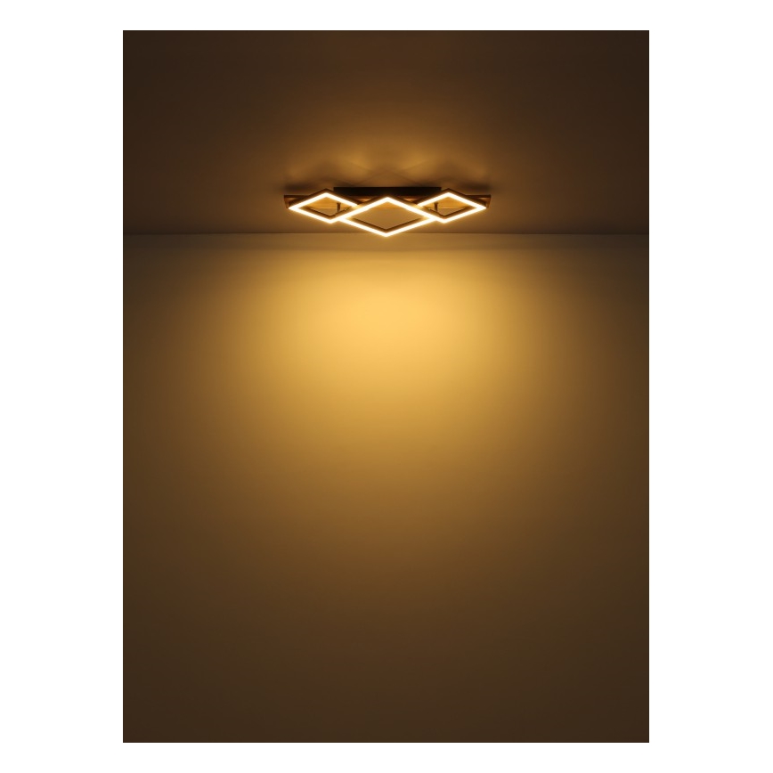 Globo - Plafonnier LED LED/32W/230V 3000K 31x61cm