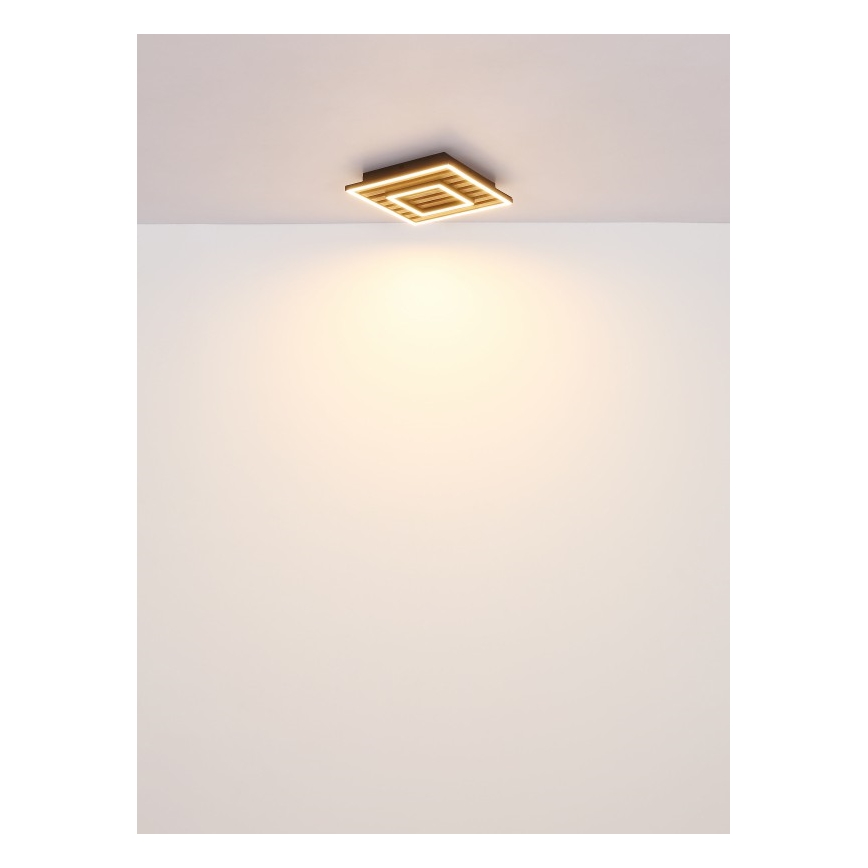 Globo - Plafonnier LED LED/18W/230V 3000K 30x30 cm