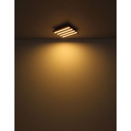 Globo - Plafonnier LED/15W/230V 3000K 30x30 cm