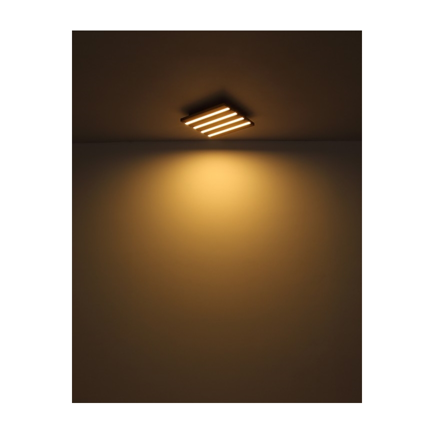 Globo - Plafonnier LED/15W/230V 3000K 30x30 cm