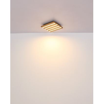 Globo - Plafonnier LED/15W/230V 3000K 30x30 cm
