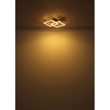 Globo - LED plafondlamp LED/16W/230V 3000K 33x44 cm