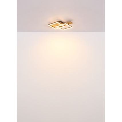 Globo - LED plafondlamp LED/16W/230V 3000K 33x44 cm
