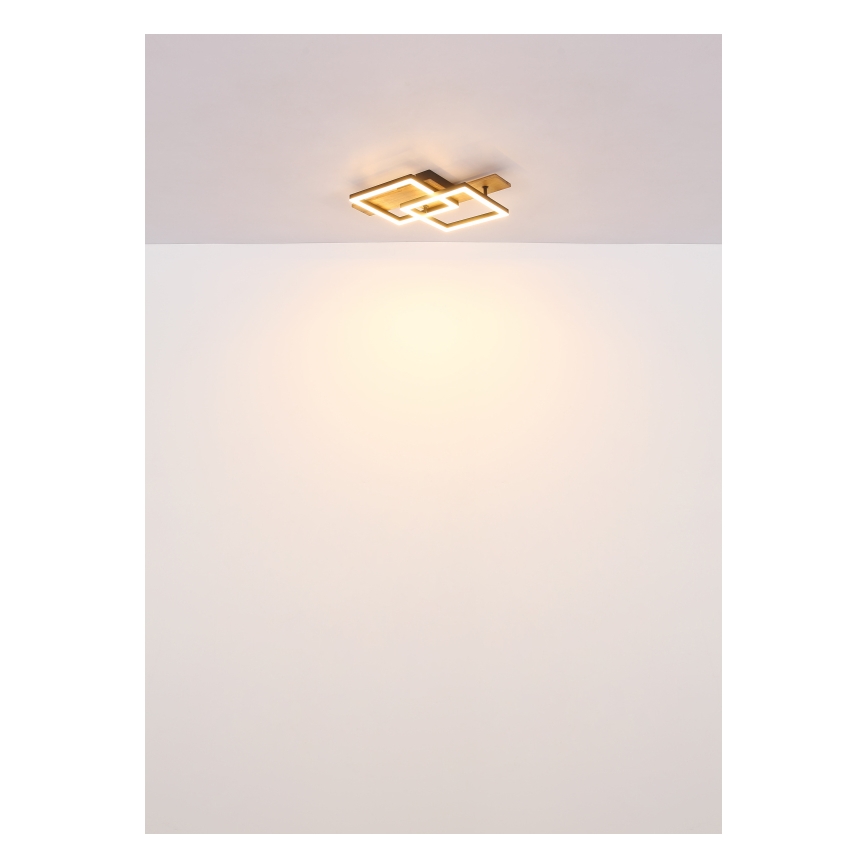 Globo - LED plafondlamp LED/16W/230V 3000K 33x44 cm