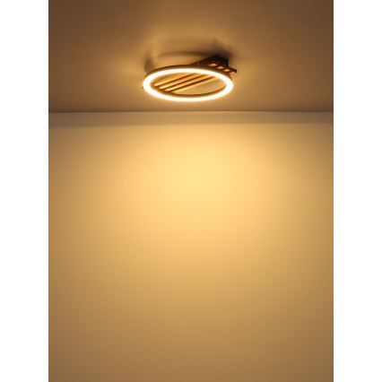 Globo - LED plafondlamp LED/12W/230V 3000K 30x34 cm