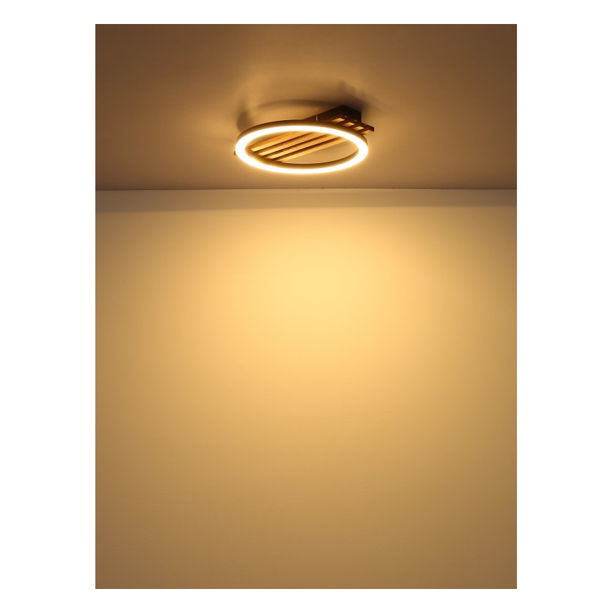 Globo - LED plafondlamp LED/12W/230V 3000K 30x34 cm